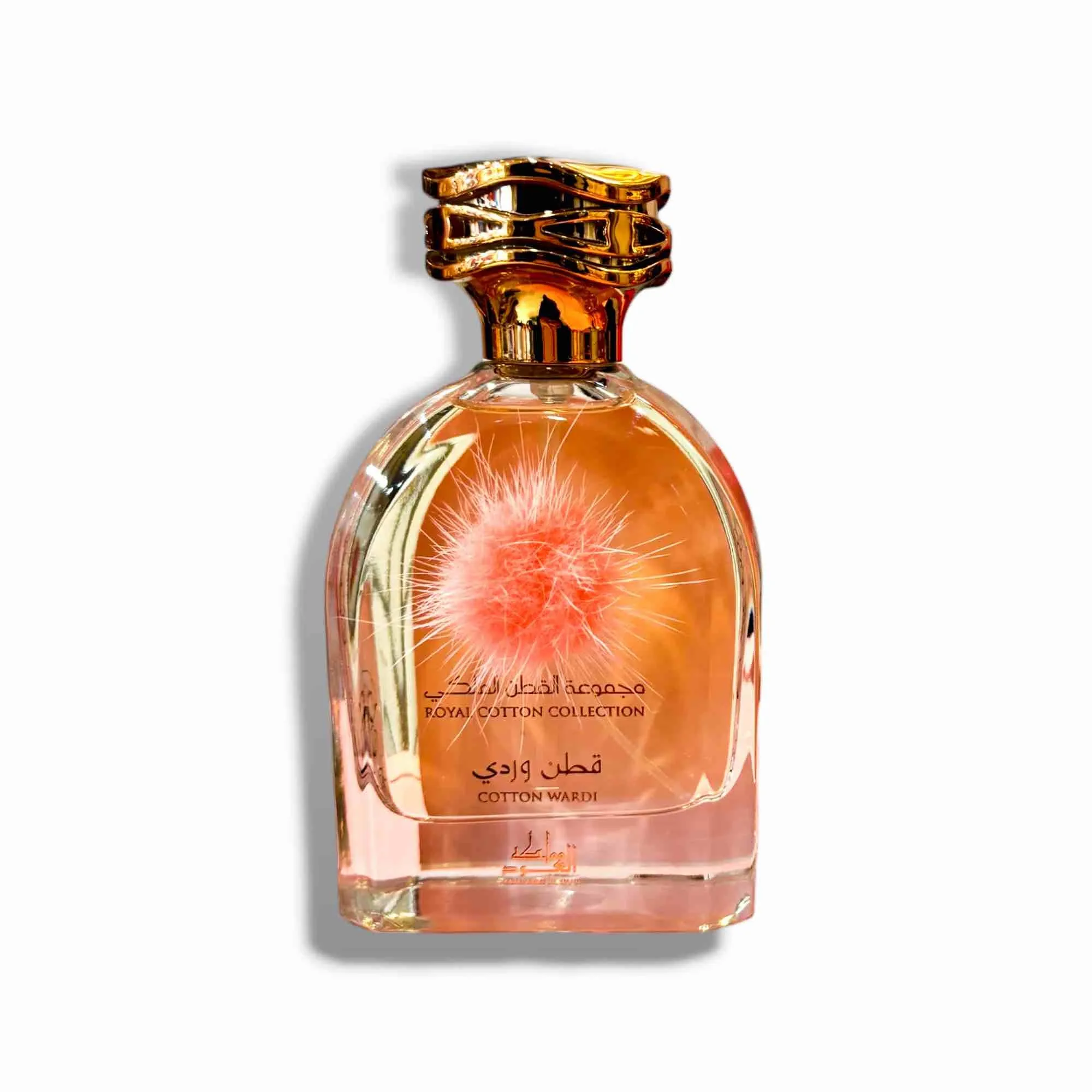 Cotton Wardi 100ml